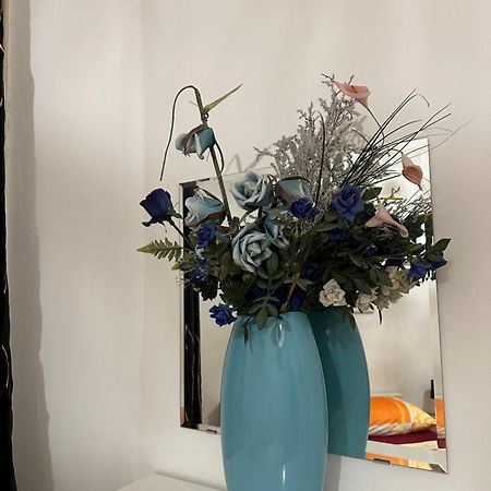 아파트먼트 오페라 1 비엔나 외부 사진